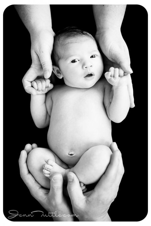 Adorable Ava: Southern California Newborn Photographer » Jenn Tuttle ...